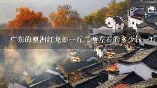 广东的澳洲红龙虾1斤2两左右的多少钱1斤! 广东的澳洲红龙虾1斤2两左右的多少钱1斤!