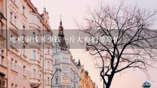 电机铜线多少钱1斤大神们帮帮忙 电机铜线多少钱1斤大神们帮帮忙
