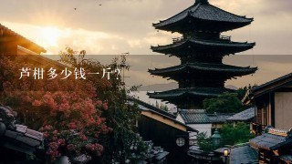 芦柑多少钱1斤? 芦柑多少钱1斤?