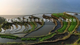 现在湖南的棉花价格是多少钱1斤?老家有1些没有籽的,今年摘的棉花,想卖 现在湖南的棉花价格是多少钱1斤?老家有1些没有籽的,今年摘的棉花,想卖