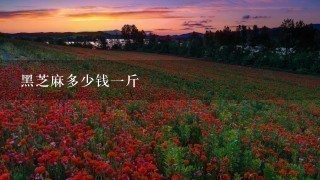 黑芝麻多少钱1斤 黑芝麻多少钱1斤