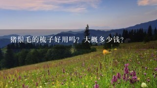 猪鬃毛的梳子好用吗?大概多少钱? 猪鬃毛的梳子好用吗?大概多少钱?