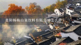 贵阳杨梅山泉饮料有限公司怎么样? 贵阳杨梅山泉饮料有限公司怎么样?