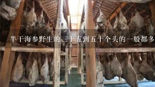 半干海参野生的3十5到5十个头的1般都多少钱1斤？俄罗斯拿回来的。