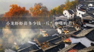 小龙虾虾苗多少钱1斤?在哪购买? 小龙虾虾苗多少钱1斤?在哪购买?