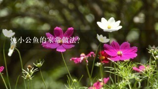 炖小公鱼的家常做法? 炖小公鱼的家常做法?