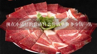 现在小猪仔的价格什么价钱单价多少钱1头1斤 现在小猪仔的价格什么价钱单价多少钱1头1斤