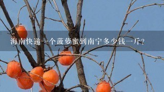 海南快递1个菠萝蜜到南宁多少钱1斤? 海南快递1个菠萝蜜到南宁多少钱1斤?