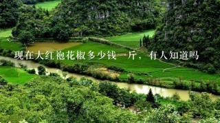 现在大红袍花椒多少钱1斤,有人知道吗 现在大红袍花椒多少钱1斤,有人知道吗