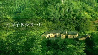 红谷子多少钱1斤 红谷子多少钱1斤