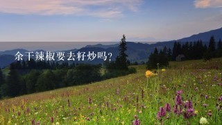 余干辣椒要去籽炒吗? 余干辣椒要去籽炒吗?