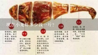 现在小龙虾多少钱1斤? 现在小龙虾多少钱1斤?