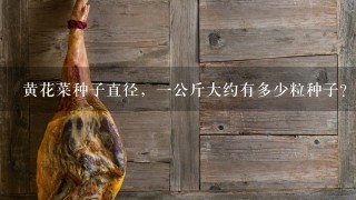黄花菜种子直径,1公斤大约有多少粒种子? 黄花菜种子直径,1公斤大约有多少粒种子?