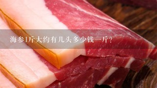 海参1斤大约有几头多少钱1斤? 海参1斤大约有几头多少钱1斤?