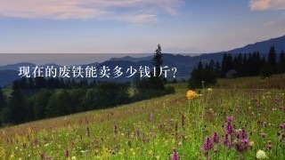 现在的废铁能卖多少钱1斤? 现在的废铁能卖多少钱1斤?