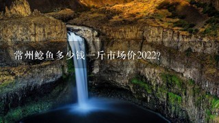 常州鲶鱼多少钱1斤市场价2022? 常州鲶鱼多少钱1斤市场价2022?