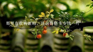 那里有收购蚯蚓,目前价格多少钱1斤 那里有收购蚯蚓,目前价格多少钱1斤