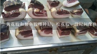 黄花胶和鳘鱼胶哪种好,吃花胶1段时间像换了个人, 黄花胶和鳘鱼胶哪种好,吃花胶1段时间像换了个人,