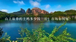 山上放养的土鸡多少钱1斤?市场如何呢? 山上放养的土鸡多少钱1斤?市场如何呢?