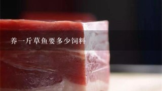 养1斤草鱼要多少饲料 养1斤草鱼要多少饲料