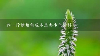 养1斤塘角鱼成本是多少全价料 养1斤塘角鱼成本是多少全价料