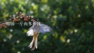韩国1斤肉多少钱 韩国1斤肉多少钱