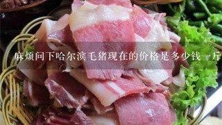 麻烦问下哈尔滨毛猪现在的价格是多少钱1斤? 麻烦问下哈尔滨毛猪现在的价格是多少钱1斤?