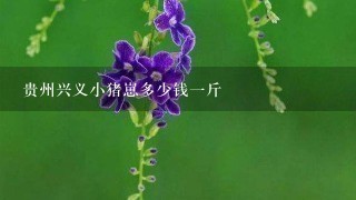 贵州兴义小猪崽多少钱1斤 贵州兴义小猪崽多少钱1斤