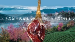 大蒜每亩需要多少种子,种10亩大蒜能赚多少 大蒜每亩需要多少种子,种10亩大蒜能赚多少