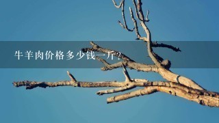 牛羊肉价格多少钱1斤? 牛羊肉价格多少钱1斤?
