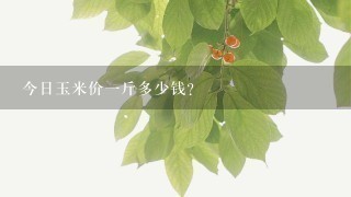 今日玉米价1斤多少钱? 今日玉米价1斤多少钱?