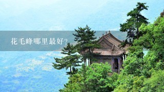 花毛峰哪里最好? 花毛峰哪里最好?