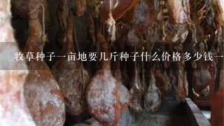 牧草种子1亩地要几斤种子什么价格多少钱1斤 牧草种子1亩地要几斤种子什么价格多少钱1斤