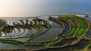 现在灵宝苹果多少钱1斤 现在灵宝苹果多少钱1斤