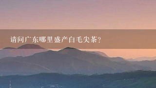 请问广东哪里盛产白毛尖茶? 请问广东哪里盛产白毛尖茶?