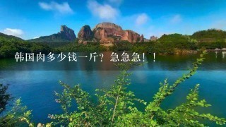 韩国肉多少钱1斤?急急急!! 韩国肉多少钱1斤?急急急!!