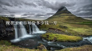 现在玉米市场价多少钱1斤 现在玉米市场价多少钱1斤