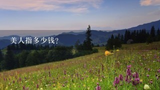 美人指多少钱? 美人指多少钱?