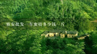 雅安批发1车蜜桔多少钱1斤 雅安批发1车蜜桔多少钱1斤