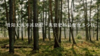 贵阳大冻库冻猪肚丶冻猪肥肠最便宜多少钱1斤？