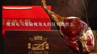 槐角丸与地榆槐角丸的区别是什么 槐角丸与地榆槐角丸的区别是什么