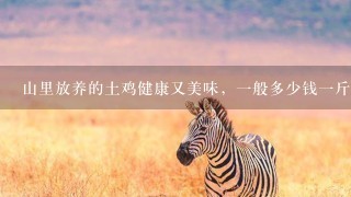山里放养的土鸡健康又美味,1般多少钱1斤? 山里放养的土鸡健康又美味,1般多少钱1斤?