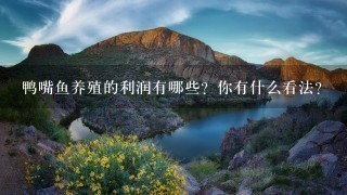 鸭嘴鱼养殖的利润有哪些?你有什么看法? 鸭嘴鱼养殖的利润有哪些?你有什么看法?
