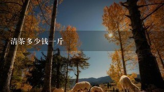 清茶多少钱1斤 清茶多少钱1斤