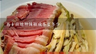 5十亩地种辣椒成本要多少 5十亩地种辣椒成本要多少