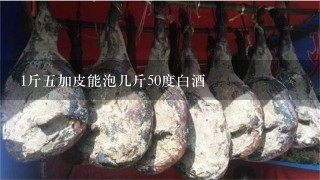 1斤5加皮能泡几斤50度白酒 1斤5加皮能泡几斤50度白酒