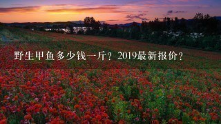 野生甲鱼多少钱1斤?2019最新报价? 野生甲鱼多少钱1斤?2019最新报价?