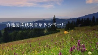 竹逸清风铁观音茶多少钱1斤 竹逸清风铁观音茶多少钱1斤