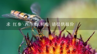 求 红参\西洋参,鲜参 请提供报价 求 红参\西洋参,鲜参 请提供报价