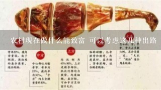 农村现在做什么能致富 可以考虑这几种出路 农村现在做什么能致富 可以考虑这几种出路